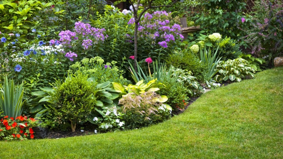 perfect garden