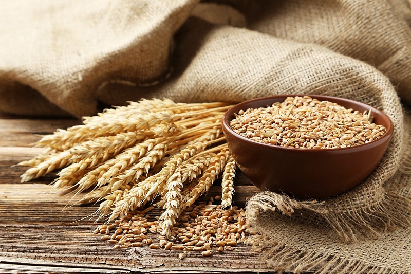 Properties and benefits of wheat