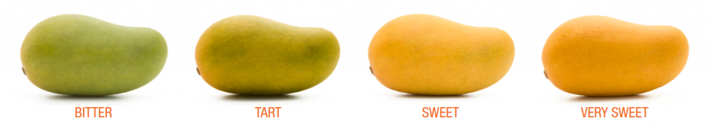 How To Tell If A Mango Is Ripe