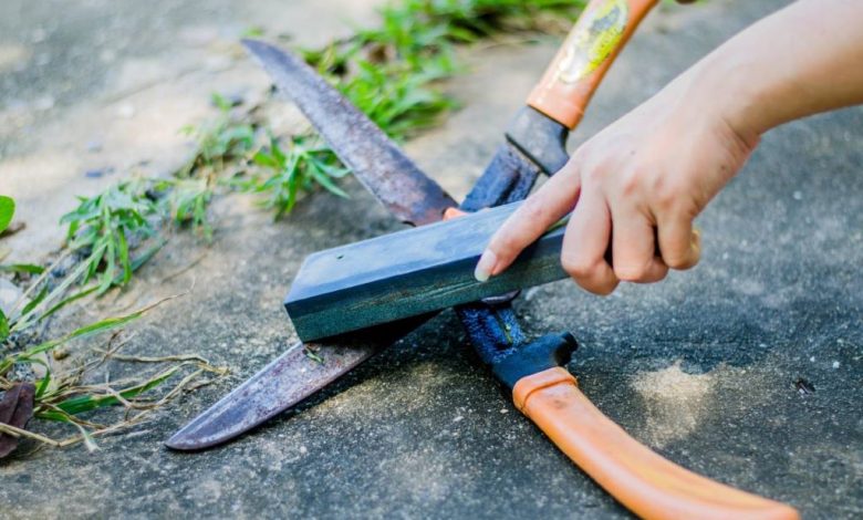 How to Sharpen Garden Shears