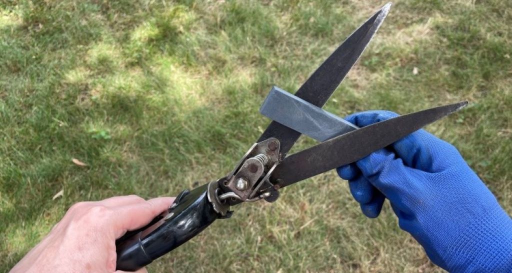 Why Sharpening Your Garden Shears Matters