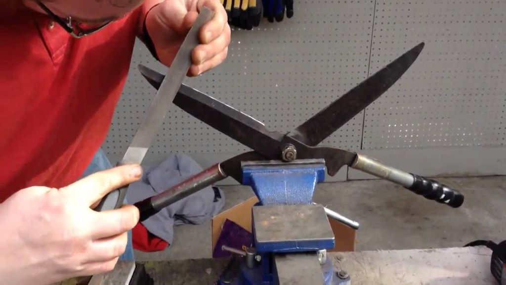 Step-by-Step Guide to Sharpening Garden Shears